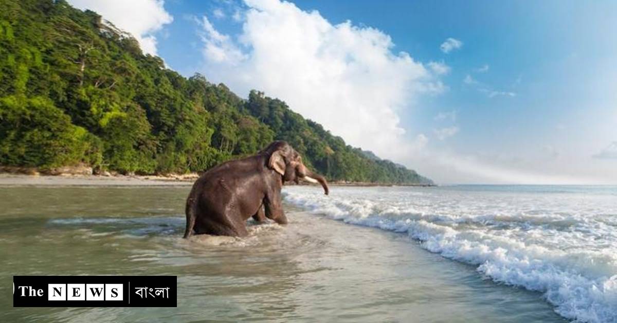 নেতাজী সুভাষচন্দ্র বসুর 'আজাদ লড়াই'কে সম্মান নরেন্দ্র মোদীর/The News বাংলা 