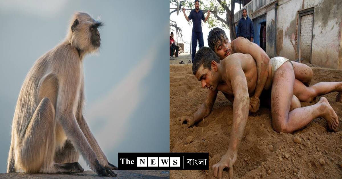 জাতের পর এবার হনুমানের পেশা নিয়েও চর্চা রাজনীতিতে/The News বাংলা